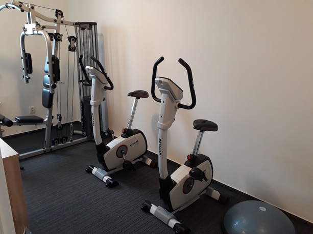 Imagen de los interiores del Hotel Apartm&aacute;nov&yacute; Dom Fam&iacute;lia Smokovec. Foto 16