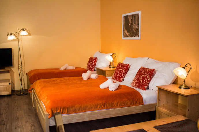 Imagen de la habitación del Hotel Apartm&aacute;ny Renomal. Foto 10