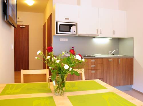Imagen de la habitación del Hotel Apartm&aacute;ny Rokytka Snowhouse. Foto 6