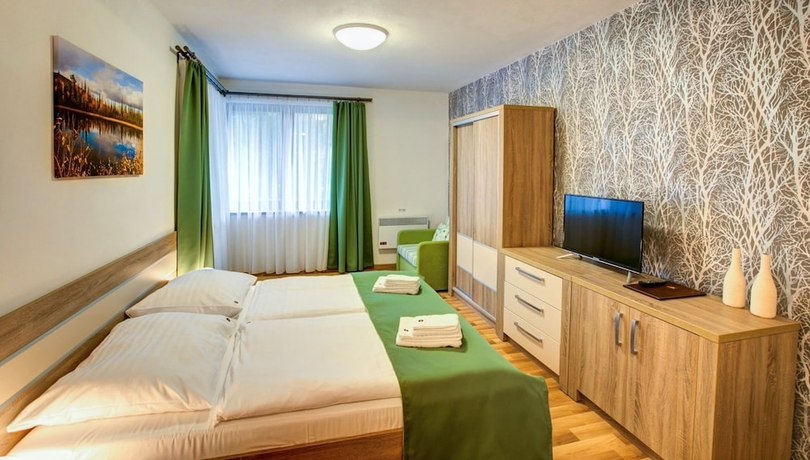 Imagen de la habitación del Hotel Apartm&aacute;ny TRI STUDNIČKY. Foto 13