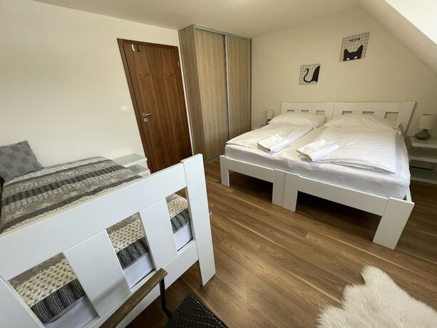 Imagen de la habitación del Hotel Apartm&aacute;ny Ř&iacute;čky - Ř&iacute;čky. Foto 12