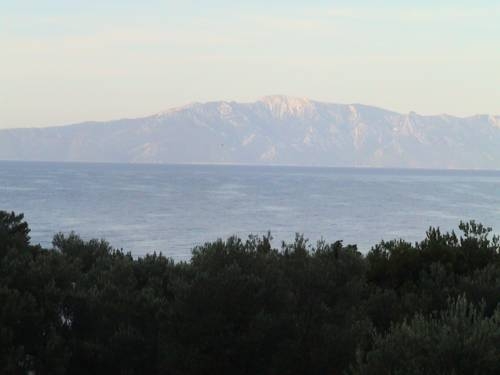 Imagen general del Hotel Apartmani Glavina. Foto 13