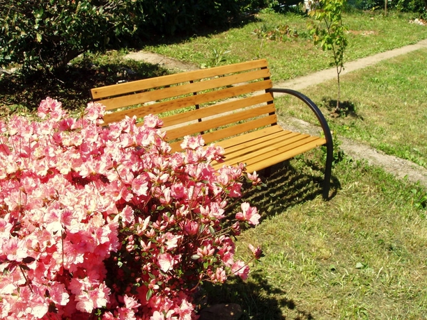 Imagen general del Hotel Apartmani Kestenovi Dvori. Foto 3