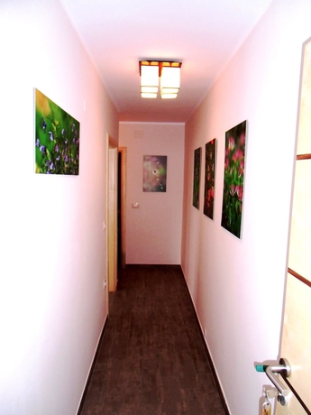 Imagen de la habitación del Hotel Apartmani Romano. Foto 14