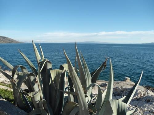 Imagen general del Hotel Apartmani Slavica Trogir. Foto 11
