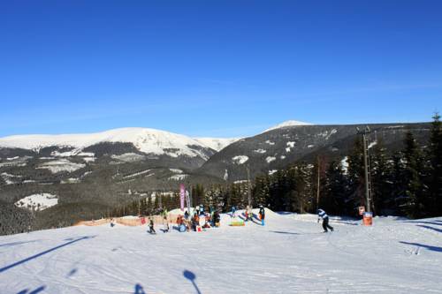 Imagen de la habitación del Hotel Apartmany Firn. Foto 10