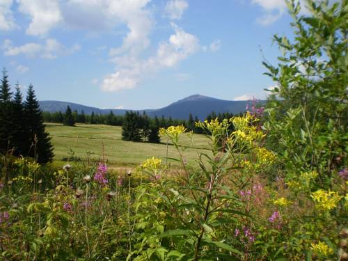Imagen de la habitación del Hotel Apartmany Firn. Foto 13