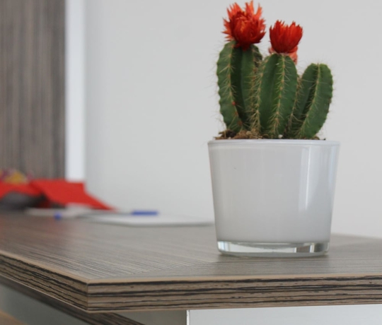 Imagen de los interiores del Hotel Apartment Am Sand. Foto 19