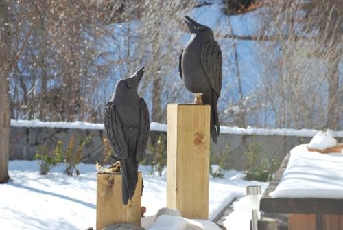 Imagen general del Hotel Apartment Aquarell. Foto 3