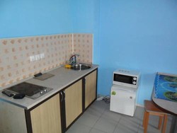 Imagen general del Hotel Apartment On Mikhaylovskaya. Foto 3