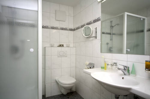 Imagen general del Hotel Apartments Alpenrose. Foto 8