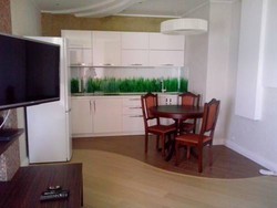 Imagen general del Hotel Apartments At Bolshoy Akhun. Foto 3