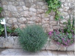 Imagen general del Hotel Apartments Desa Petric. Foto 9