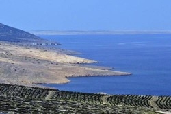 Imagen general del Hotel Apartments Esperanca. Foto 7