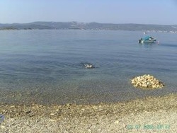 Imagen general del Hotel Apartments Esperanca. Foto 14