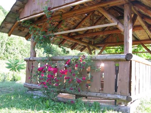 Imagen general del Hotel Apartments Kristina. Foto 11