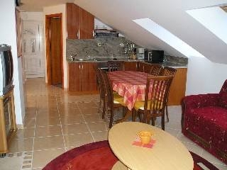 Imagen de la habitación del Hotel Apartments Puntamika. Foto 11