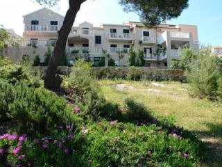Imagen general del Hotel Apartments &Scaron;antić. Foto 3