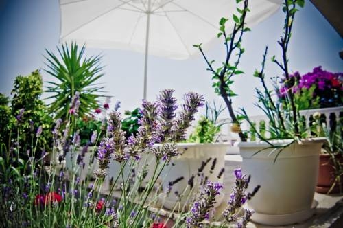 Imagen general del Hotel Apartments Slijepcevic. Foto 12