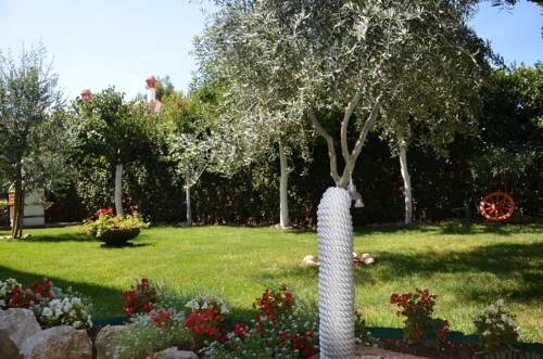 Imagen general del Hotel Apartments and Rooms Petra. Foto 11