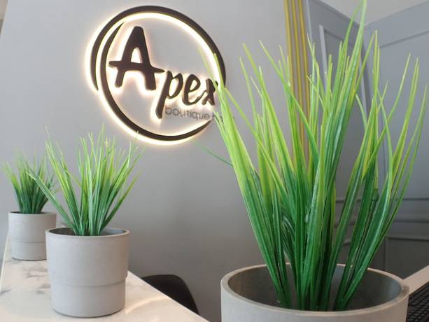 Imagen de los interiores del Hotel Apex Boutique. Foto 17
