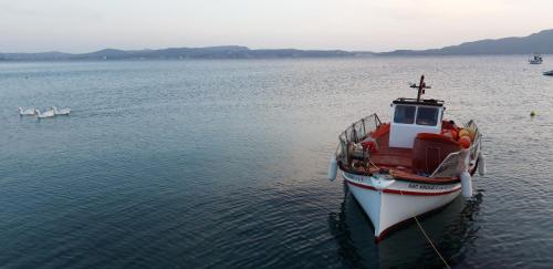 Imagen general del Hotel Aphrodite Of Milos. Foto 7