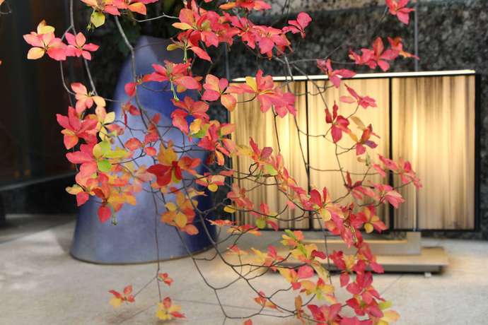 Imagen general del Hotel Apio - Adults Only. Foto 6
