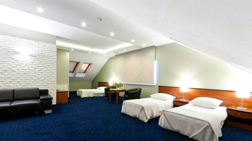 Imagen de la habitación del Hotel Apis, Cracovia. Foto 11