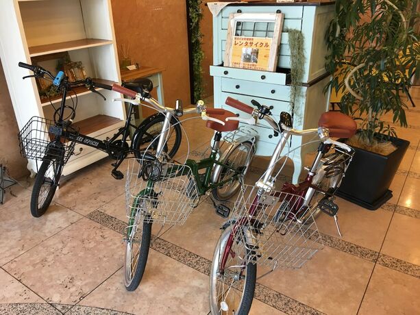 Imagen general del Hotel Apoa Hotel. Foto 4