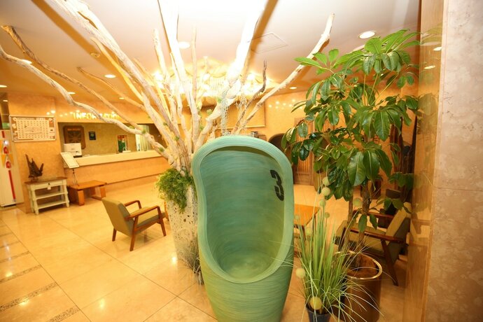 Imagen general del Hotel Apoa Hotel. Foto 9