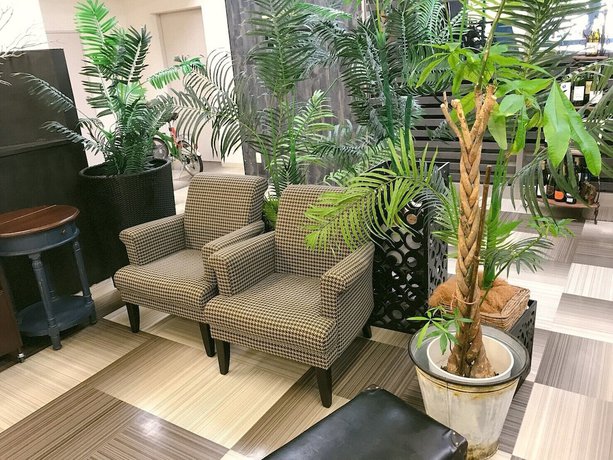 Imagen de los interiores del Hotel Apoa Tsu. Foto 9