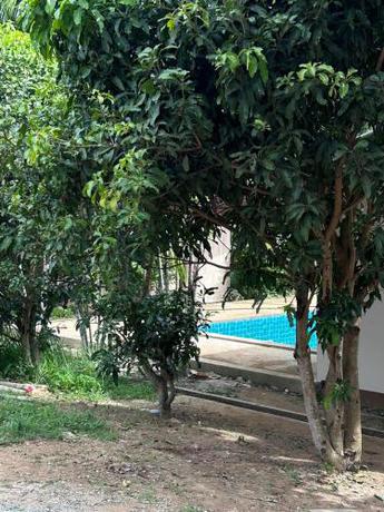 Imagen general del Hotel Apollo, Ban Nakok. Foto 3