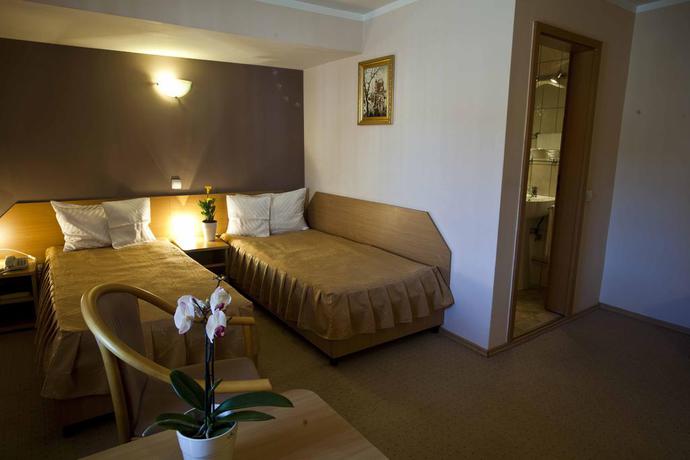 Imagen de la habitación del Hotel Apollo Central. Foto 9