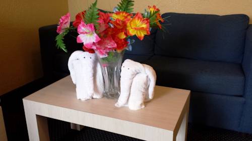 Imagen de la habitación del Hotel Apollo Inn Motel. Foto 9