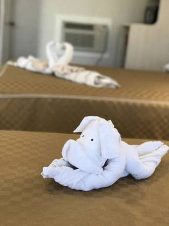 Imagen de la habitación del Hotel Apollo Inn Motel. Foto 15