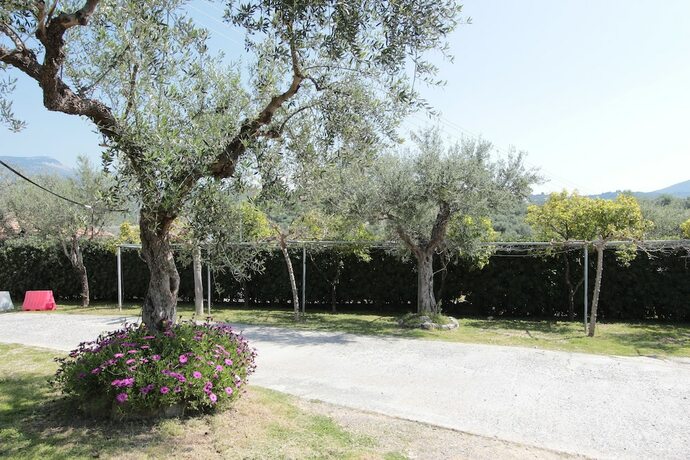 Imagen general del Hotel Apollon Apartments, Municipal Unit of Avia. Foto 11