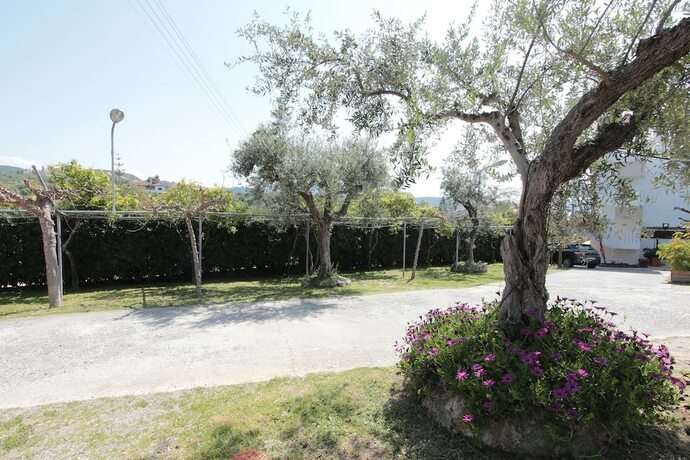 Imagen general del Hotel Apollon Apartments, Municipal Unit of Avia. Foto 16