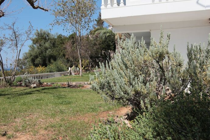 Imagen general del Hotel Apollon Apartments, Municipal Unit of Avia. Foto 17