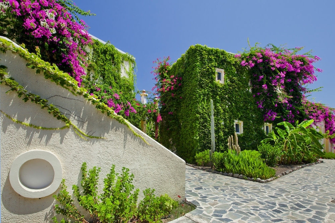 Imagen de los exteriores del Hotel Apollon, Lambi. Foto 10