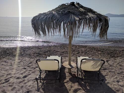 Imagen general del Hotel Apollon, Methana. Foto 4