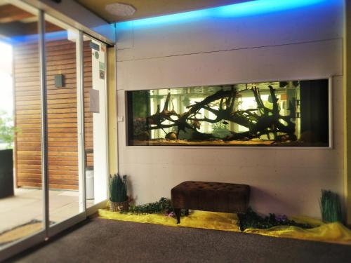 Imagen de los interiores del Hotel Apollon Rust. Foto 7