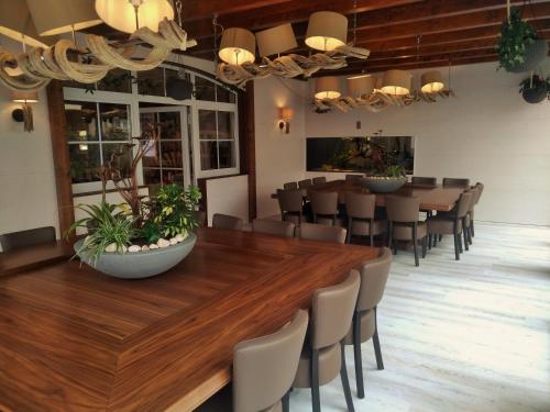 Imagen de los interiores del Hotel Apollon Rust. Foto 9