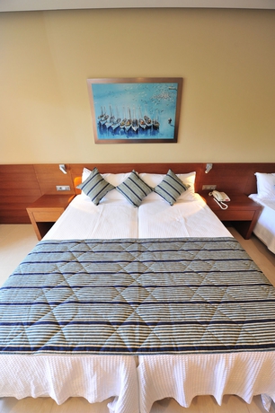 Imagen de la habitación del Hotel Apollonion Asterias Resort and Spa. Foto 6