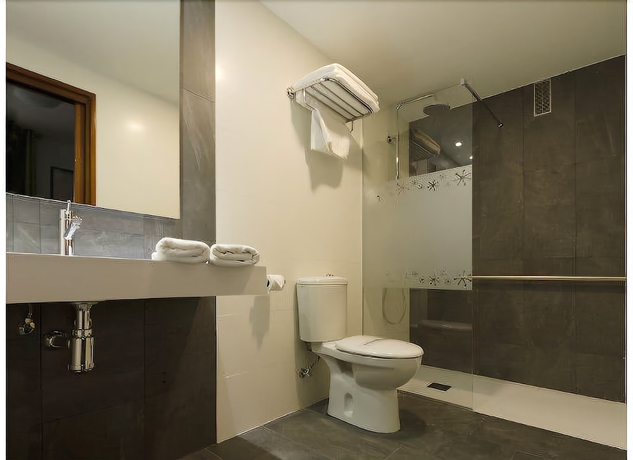 Imagen de la habitación del Hotel Apolo, Ainsa. Foto 7