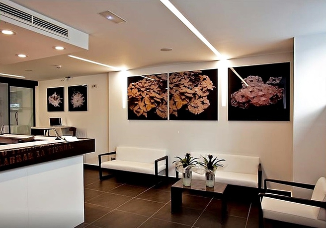 Imagen general del Hotel Apolonia. Foto 7