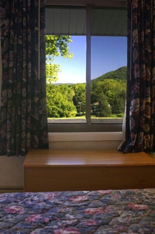 Imagen de la habitación del Hotel Appalachian Motel. Foto 12