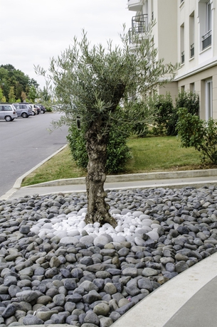 Imagen general del Hotel Appart City Confort Marne La Vallée Val d Europe. Foto 2