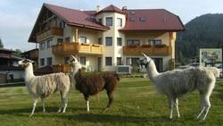 Imagen general del Hotel Appart- Und Wellnesshotel Charlotte. Foto 8