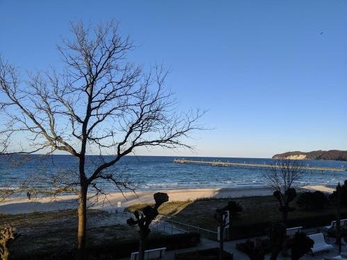 Imagen de la habitación del Hotel Appartementhaus Bellevue Gmbh. Foto 8