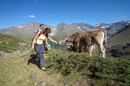 Imagen general del Hotel Appartementhaus Karlspitze Natur Pur. Foto 8